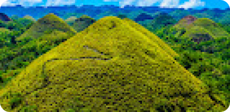 Azuki image 4